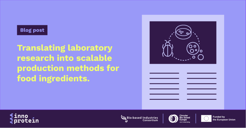 Could Fungal Fermentation Help Expand Sustainable Protein Production? 