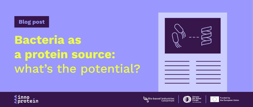 Bacteria as a Protein Source: What’s the Potential?