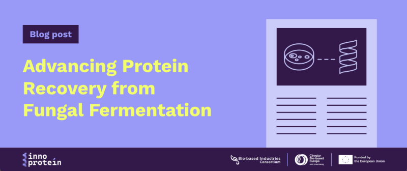 Advancing Protein Recovery from Fungal Fermentation
