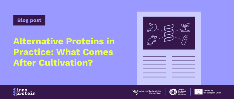 Alternative Proteins in Practice: What Comes After Cultivation?