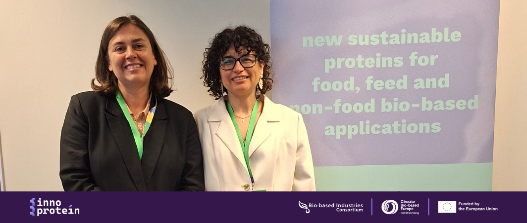 CBE JU Cluster Projects’ Workshop on Food & Feed